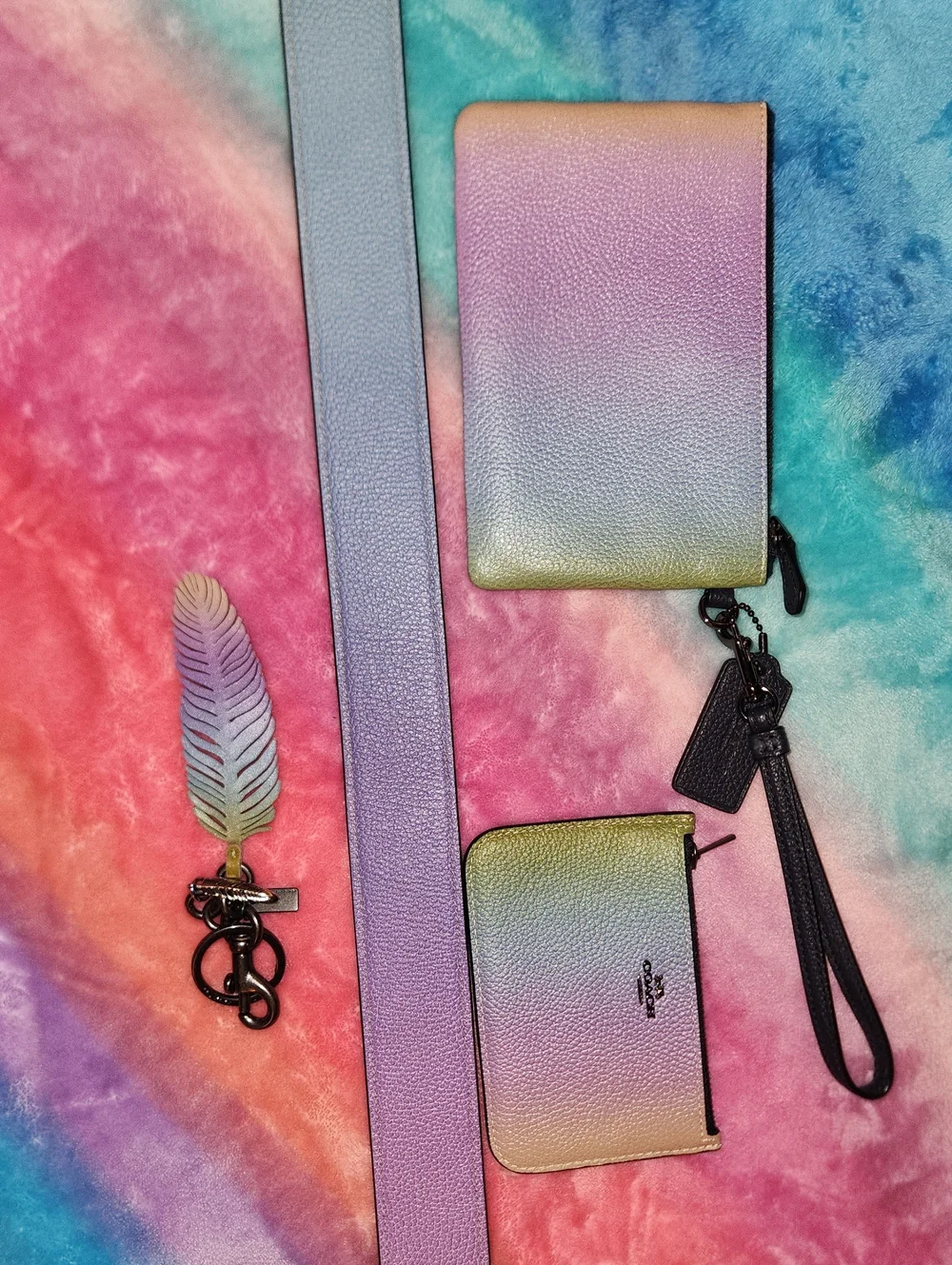 Coach Ombre Rainbow Purse, Strap, Feather, Wristlet, And Coin Case Set